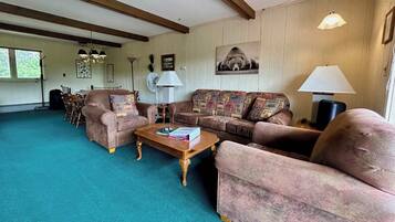 TV, fireplace, DVD player, books