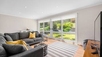 Smart TV, chimenea y libros