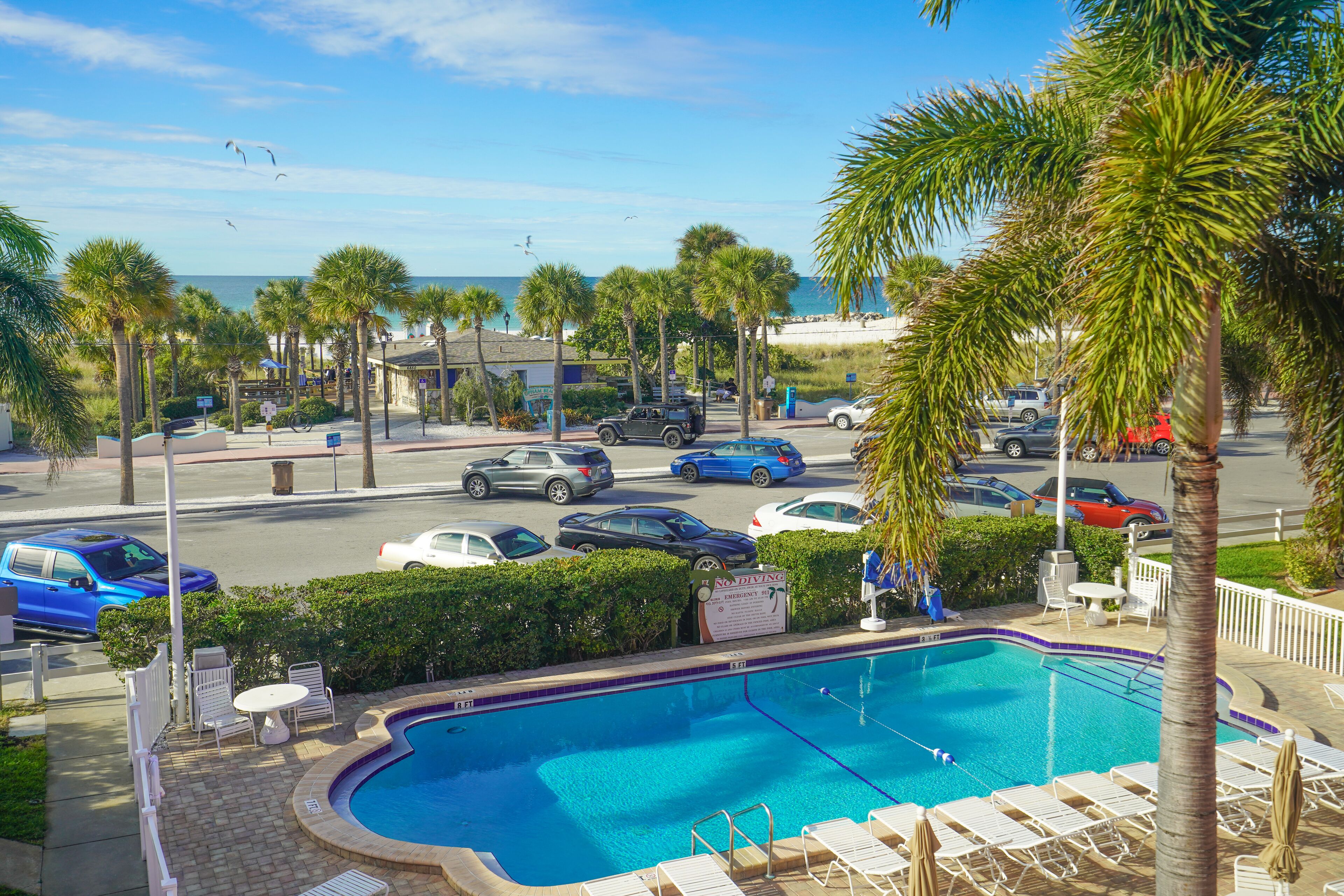 A swimming pool with lounge chairs and umbrellas, surrounded by palm trees and a view of the beach.