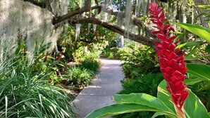 A pathway surrounded by lush greenery and a prominent red flower.