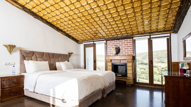 Une chambre spacieuse avec un grand lit, un plancher en bois, une cheminée en briques et une vue sur l’extérieur.