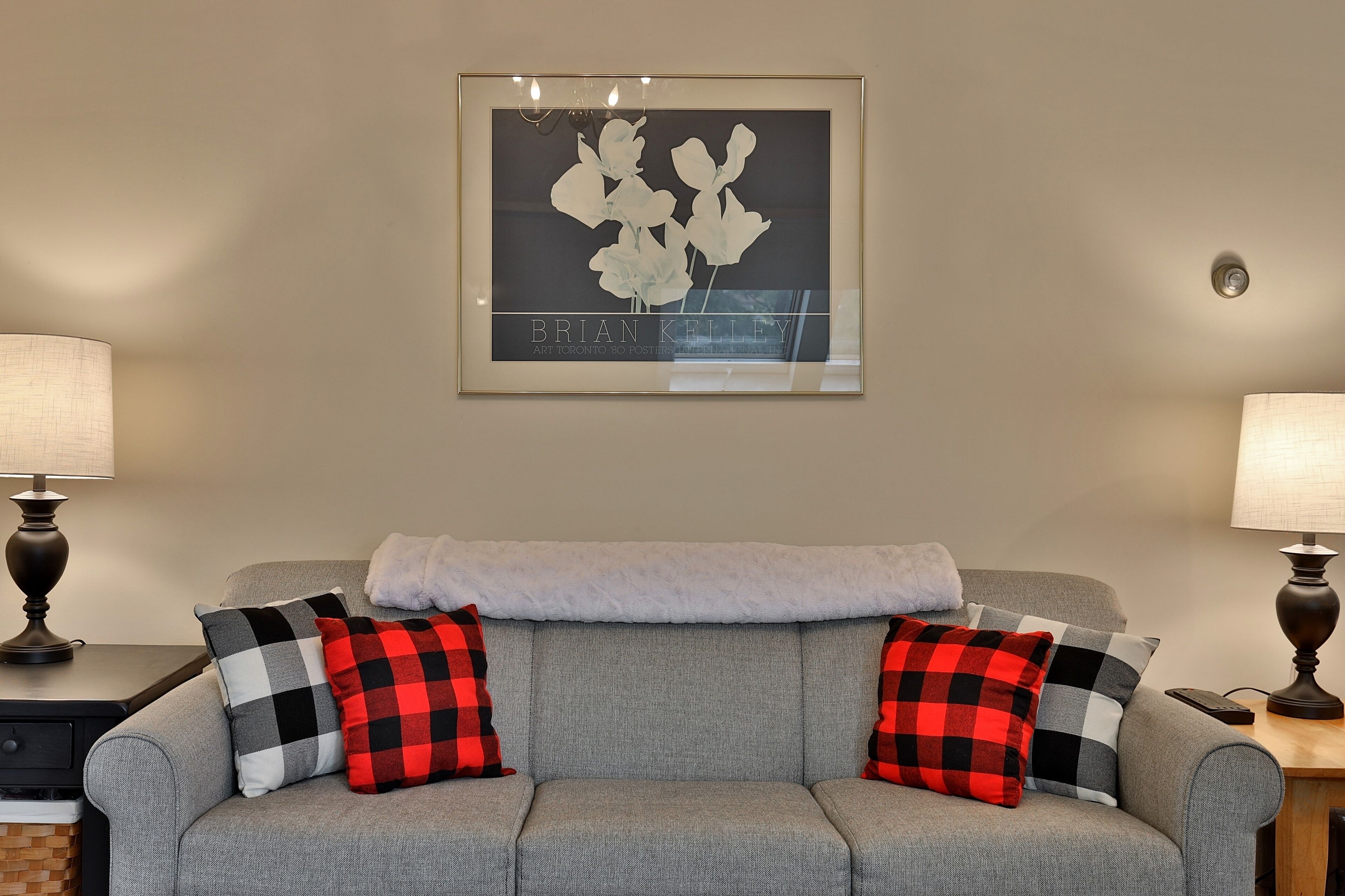A grey sofa with two checkered pillows, a white throw blanket, and a framed artwork above.