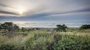 Een kustlandschap met grasvelden, bomen en uitzicht op de oceaan.