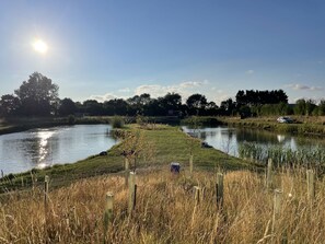 A serene lakeside scene with a clear sky, calm water, and surrounding greenery.