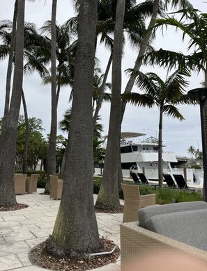 Terrace/patio - Renovated On the intercoastal minutes from Fort Lauderdale renowned beach.  (Fort Lauderdale)