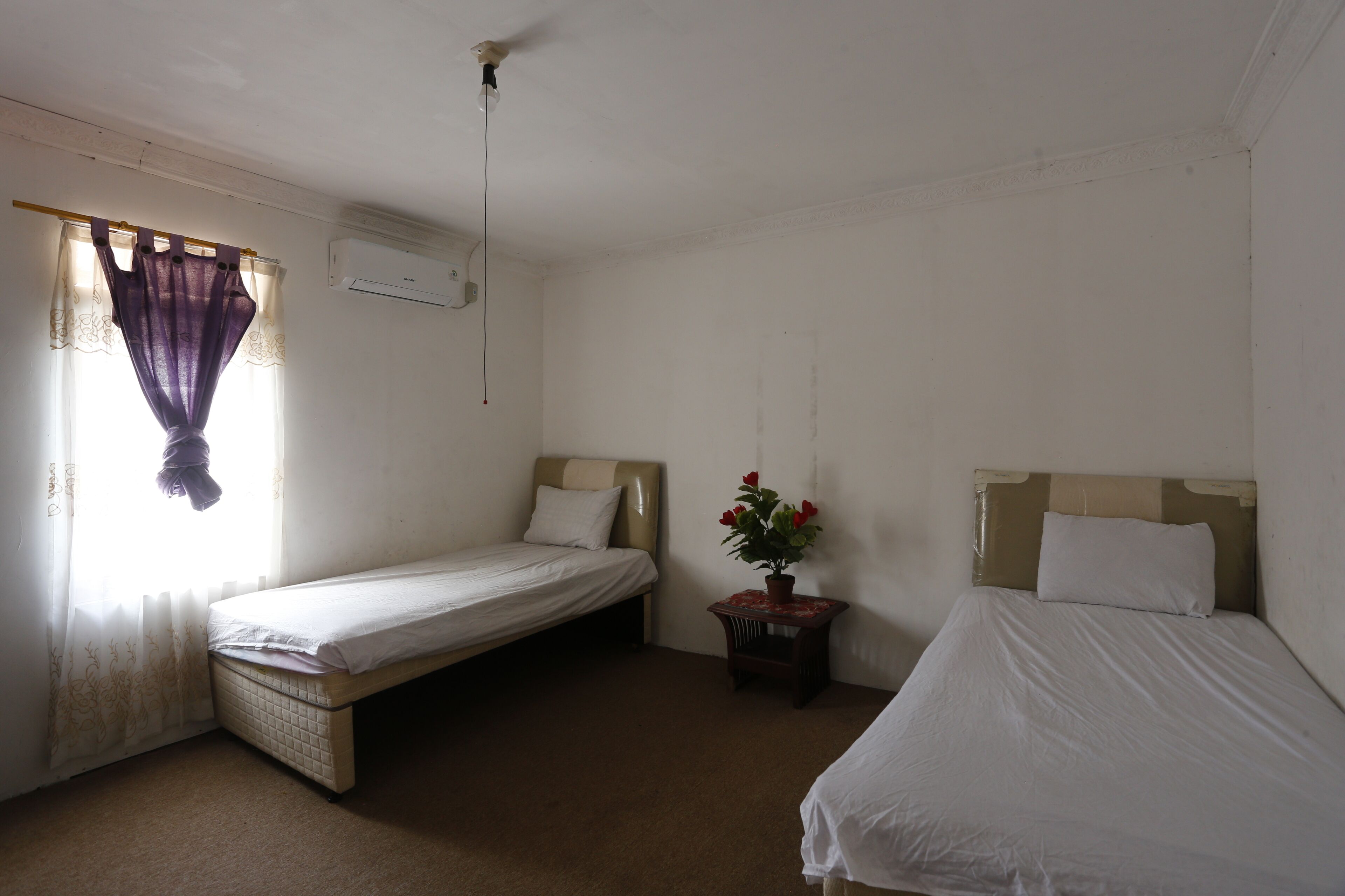 A simple room with two single beds, a small table with a potted plant, and a window with curtains.