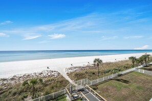 A beach view with a white fence, palm trees, and a clear sky.