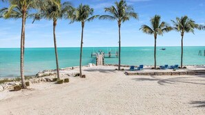 Ein Strand mit Palmen, einem Steg und einer Reihe blauer Stühle.