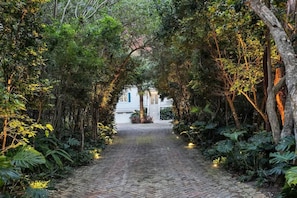 A cobblestone pathway leading to a white building surrounded by lush greenery.