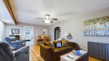 Smart TV, fireplace, books