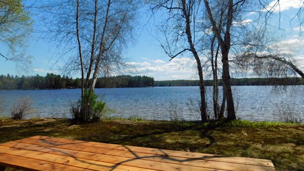 Ein Holztisch zum Picknicken am See, mit Bäumen und blauem Himmel.