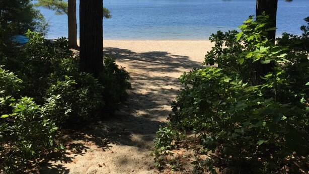 A sandy beach path leading to a lake surrounded by trees. - Charming Lakefront Cottage with Screened Porch & Shared Beach Access (Gray)