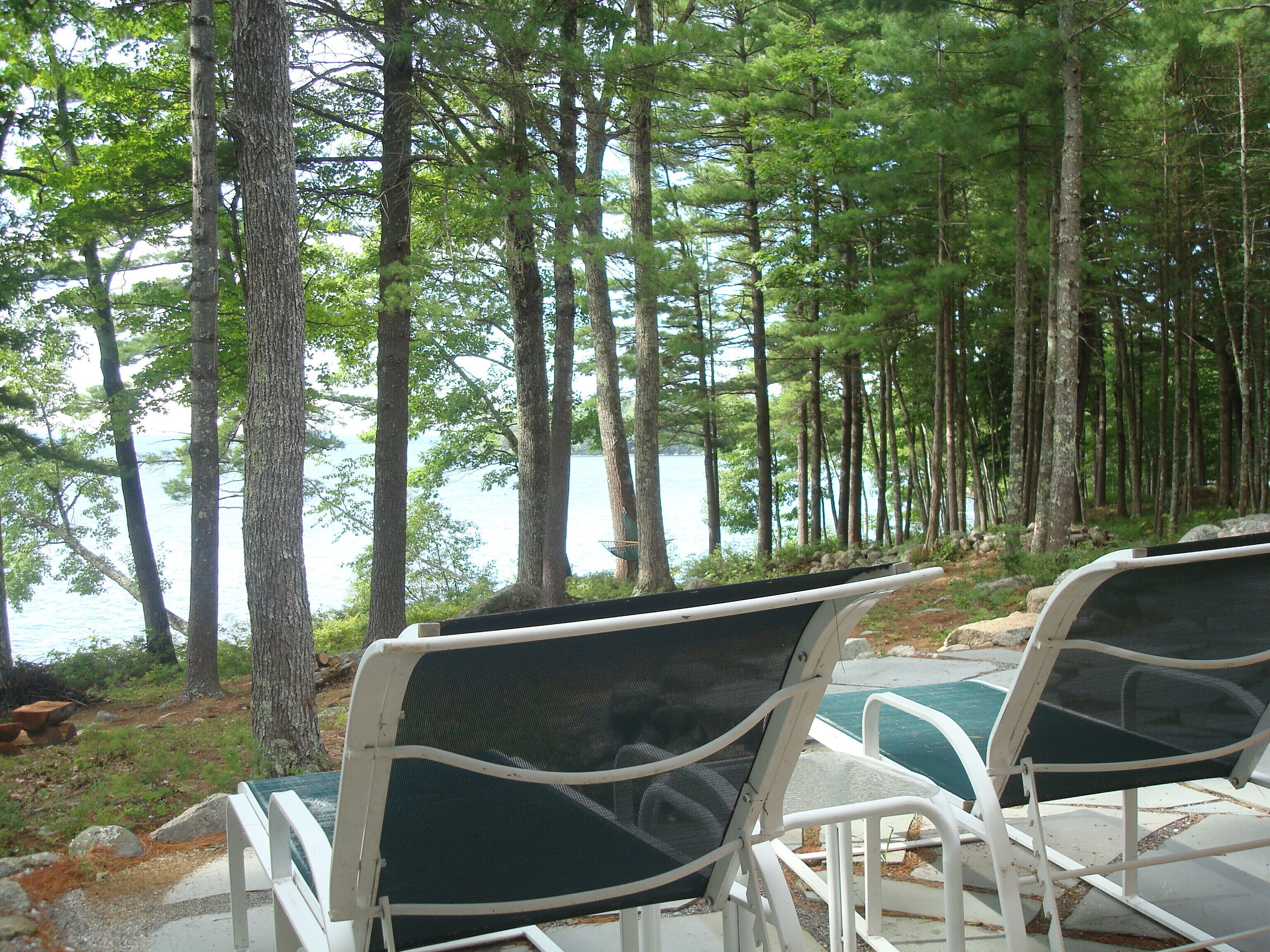 A row of outdoor seating chairs facing a lake, surrounded by tall trees.
