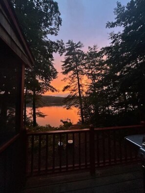 A wooden deck with a view of a lake and trees at sunset. - Welcome to Dorie's Cottage! Cozy waterfront home with gorgeous sunset views! (Raymond)
