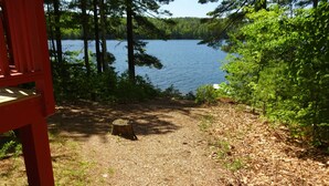 Une zone boisée offrant une vue dégagée sur un lac, avec un banc en bois et un sentier menant à l’eau.