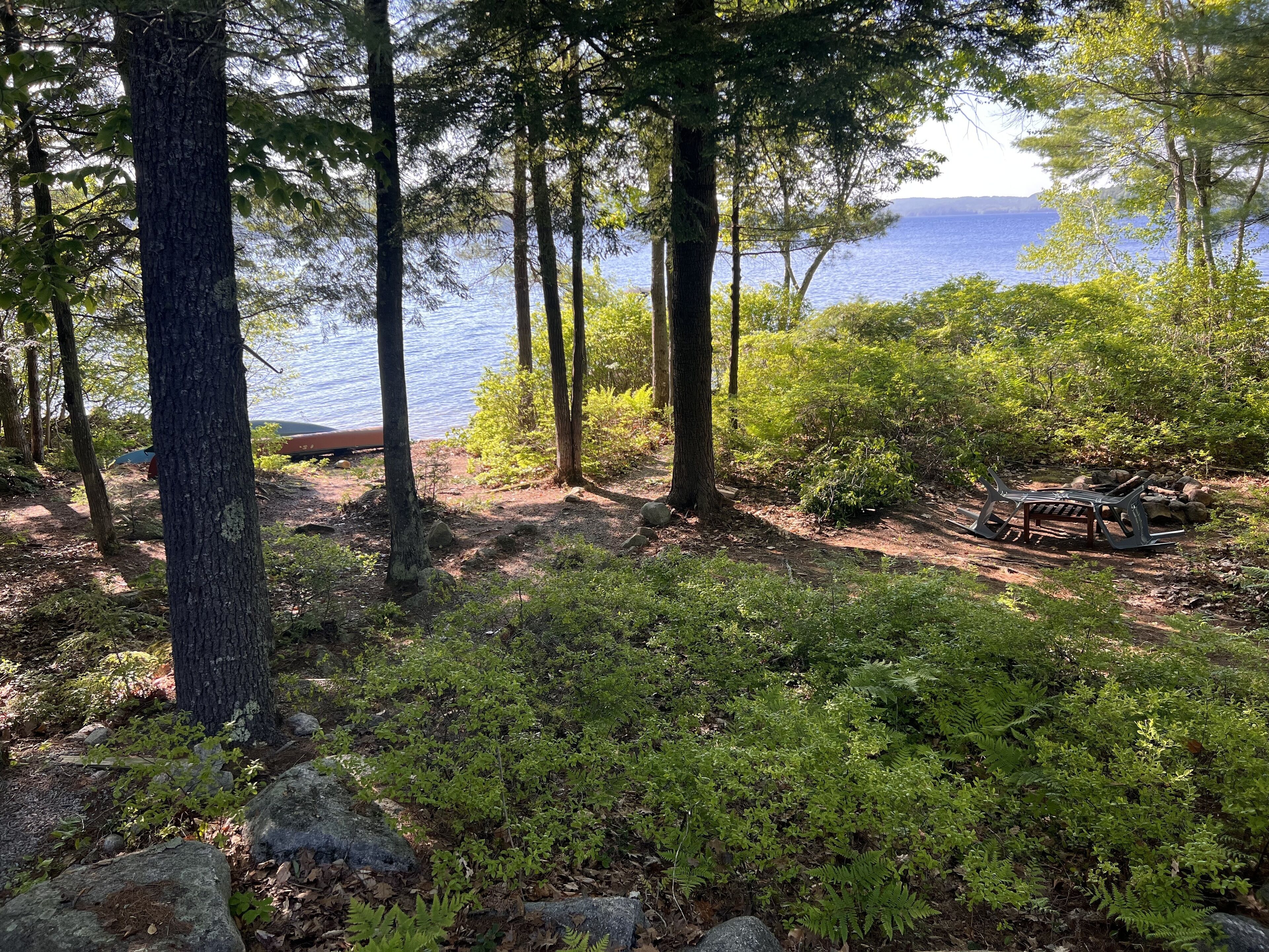 Une zone boisée offrant une vue sur un lac, avec une table de pique-nique et un quai pour bateaux.