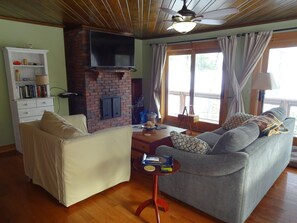 Smart TV, chimenea y reproductor de DVD 