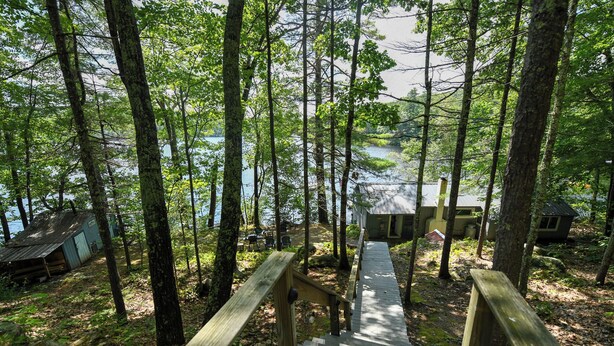 Eine Holzterrasse führt zu einer Hütte, die von hohen Bäumen und einem See umgeben ist.