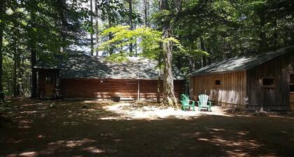Pet-friendly cabin with a sandy beach and breathtaking mountain views!