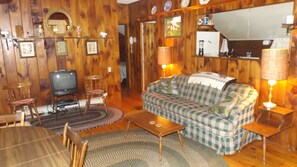 Tv, pejs, dvd-afspiller, bøger