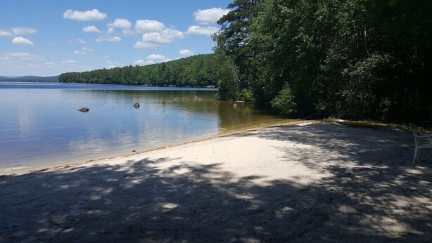 Ein See mit einem Sandstrand, umgeben von dichten Bäumen und ruhigem Wasser.