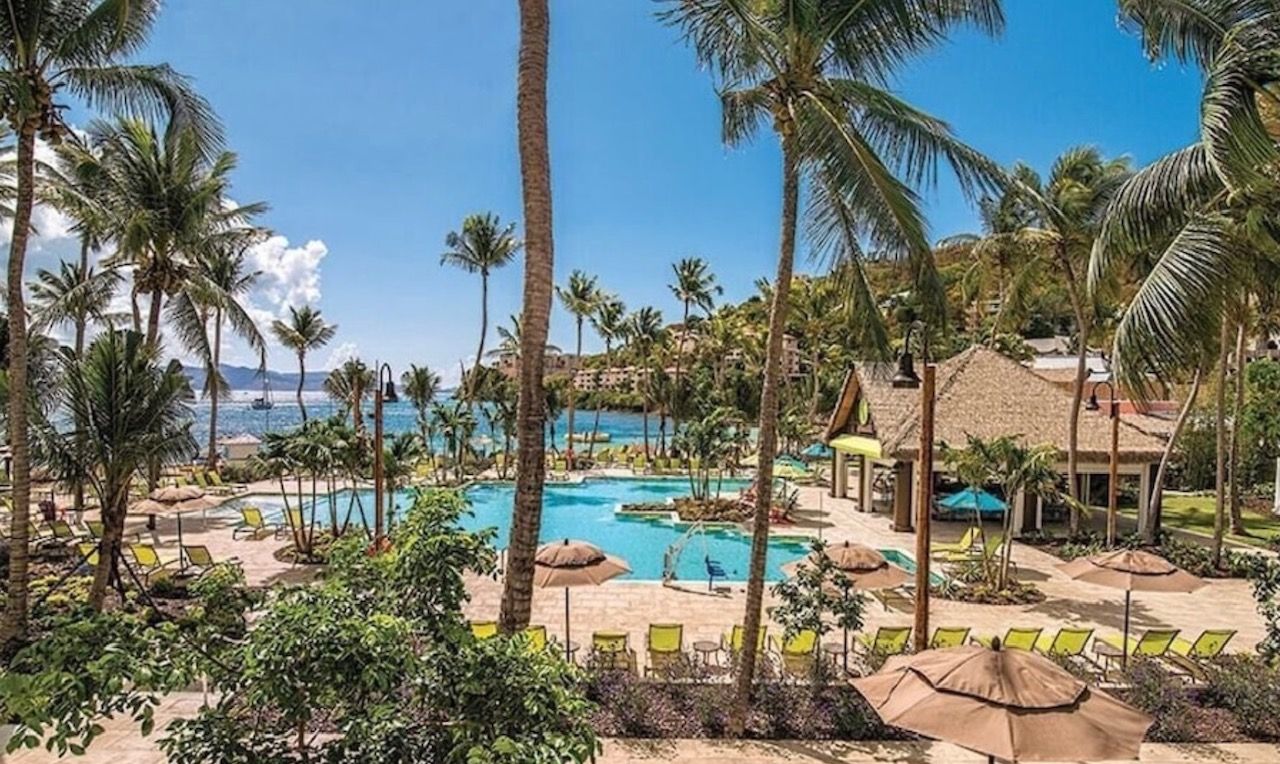 A resort with a pool area surrounded by palm trees and lounge chairs.