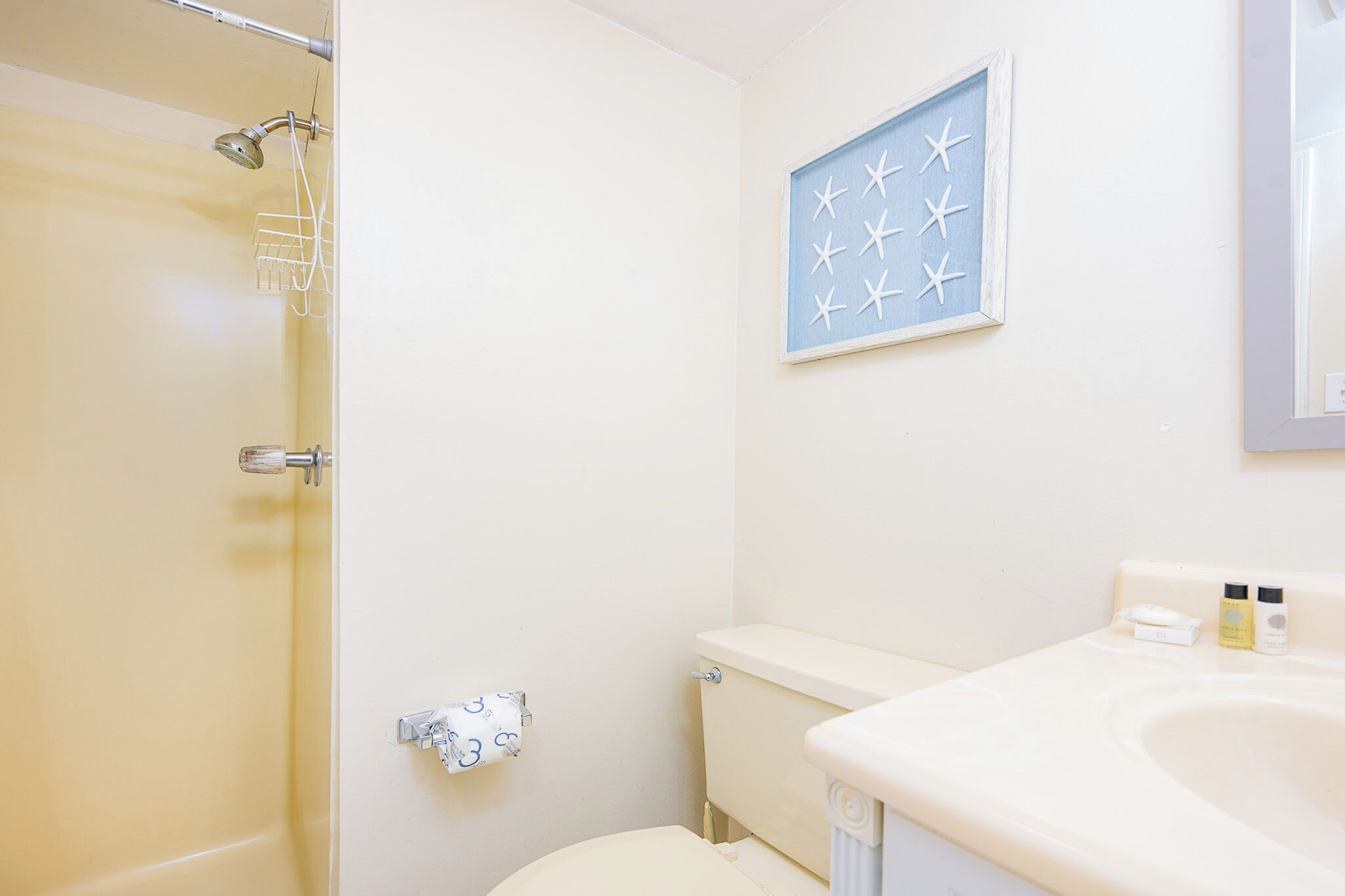 Un baño con ducha, inodoro, lavamanos y un cuadro en la pared.