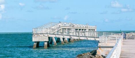 A pier extending into the water with a viewing platform and railing.
