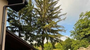 A covered outdoor area with a paved walkway, a wooden structure, and a large tree. - Casa Mia Vrdnik (Vrdnik)