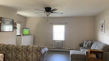 Smart TV, DVD player, books, video library
