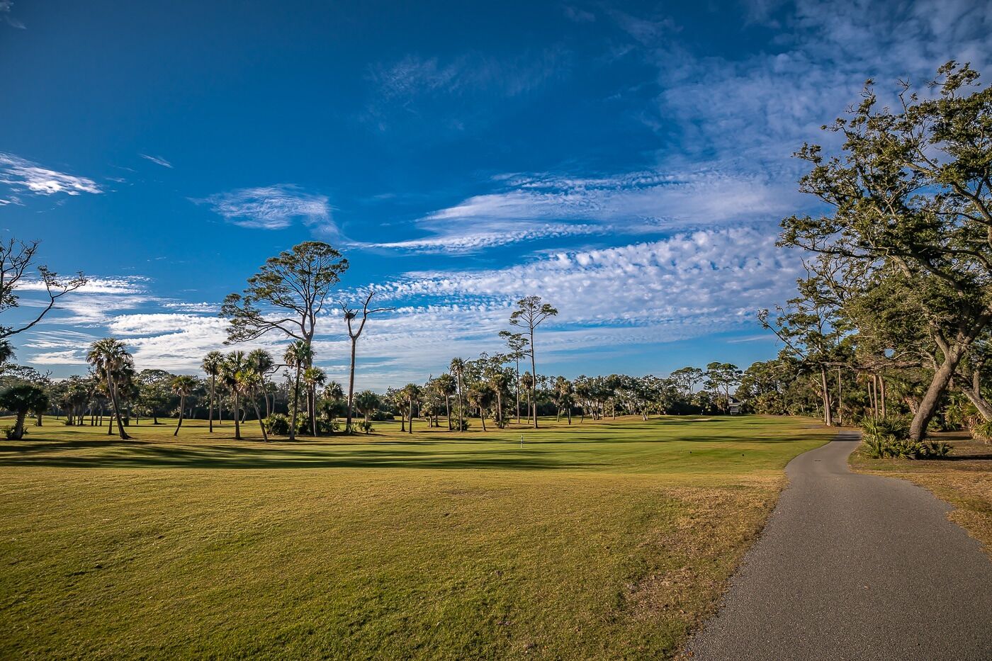 A golf course with a clear path and lush greenery.