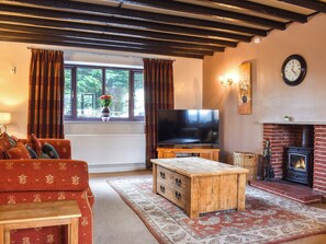 TV, fireplace - 3 bedroom accommodation in Whitby (Whitby)