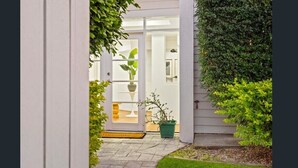 Une entrée de maison avec une porte blanche, un pot de fleurs et un petit jardin.