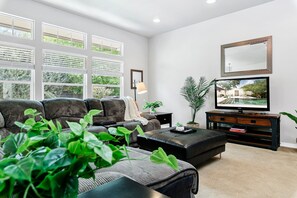 TV, fireplace