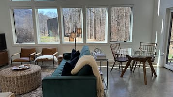 Smart TV, fireplace, books, offices