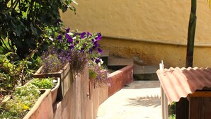 A narrow pathway flanked by wooden planters with various plants and flowers, leading to a covered seating area. - Small cozy apartment surrounded by nature in the countryside of Bogotá (Bogotá)