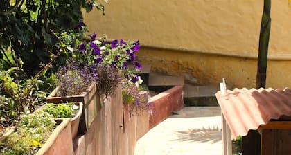 Small cozy apartment surrounded by nature in the countryside of Bogotá