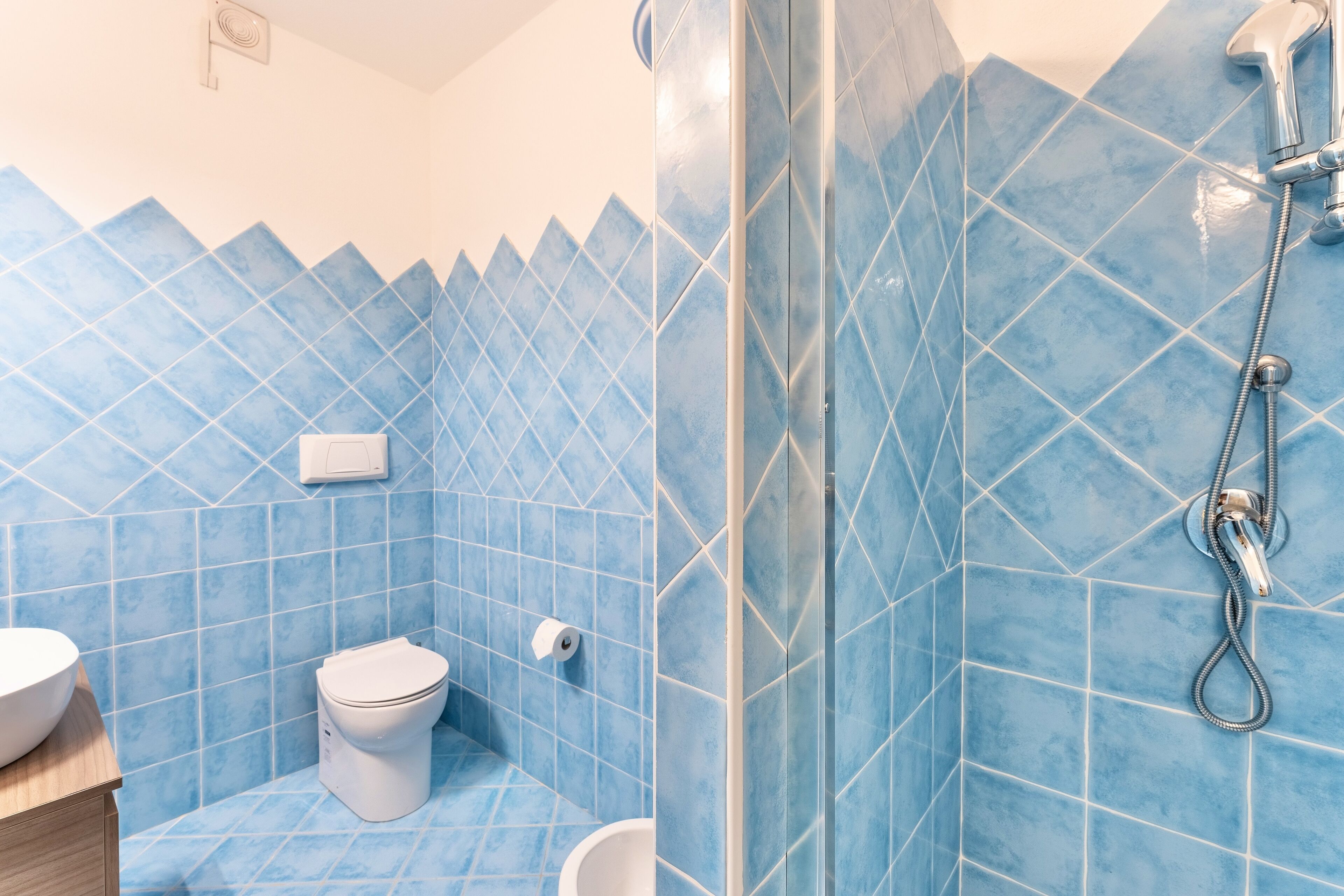 Ein Badezimmer mit blauen Fliesen, einer weißen Toilette und einer Dusche inklusive Handbrause.