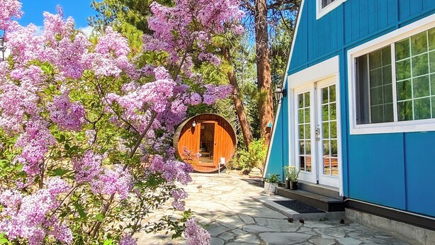 A blue building with a wooden door entrance, surrounded by blooming purple flowers and trees.