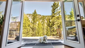 A room with a sloped ceiling, a mounted deer skull, and a dog lying on a mat.