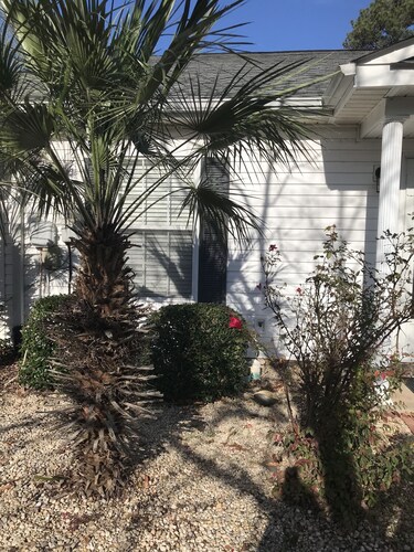 Sweet Retreat in Aiken