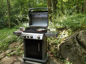 Property grounds - Charming Cabin in the Woods with River Access (Shepherdstown)