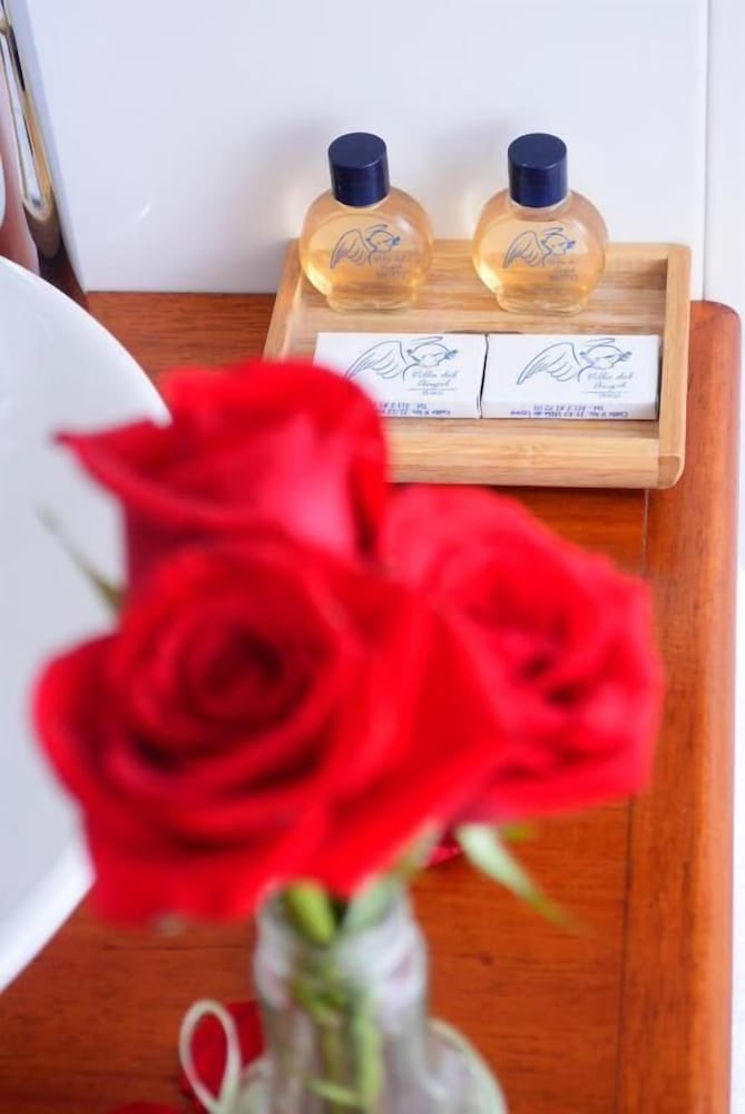 Hotel Villa del Ángel by null