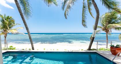 Dreamy Ocean Front Sea Palm Villa #10