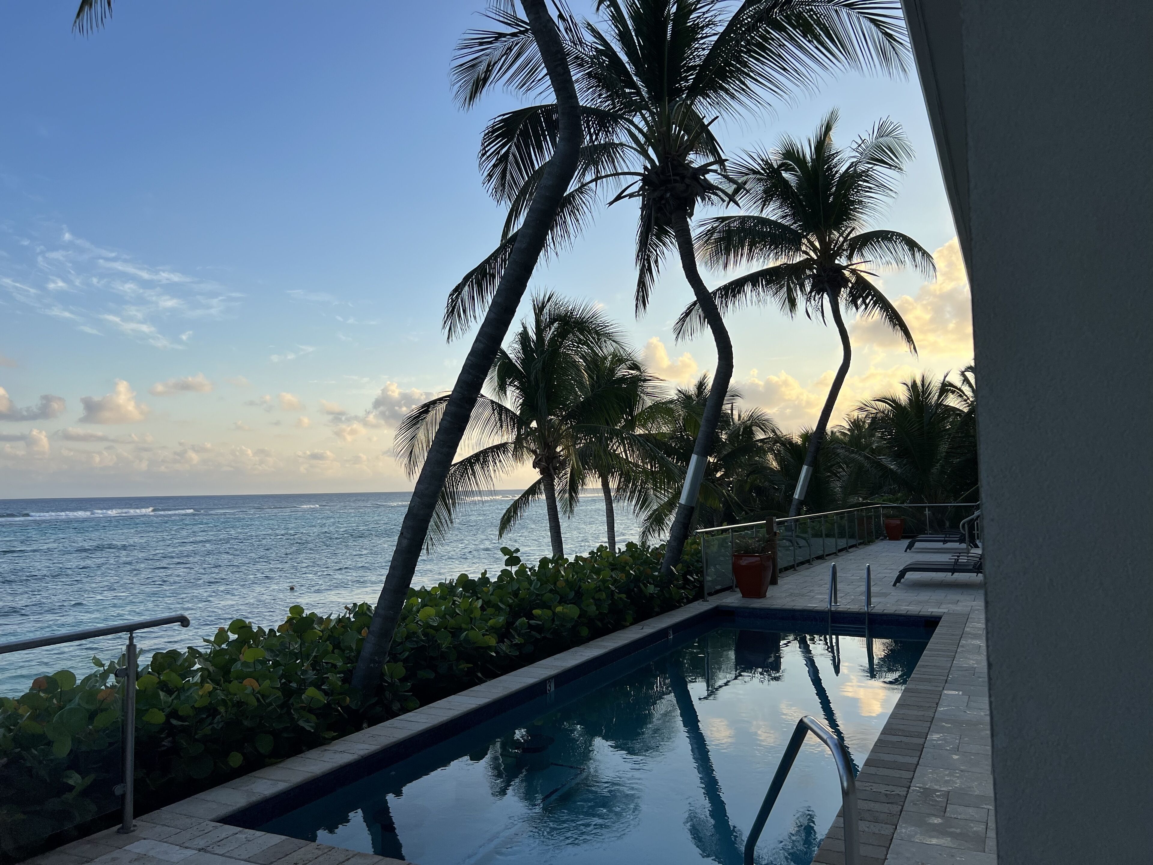 Una piscina con vista al océano y palmeras.