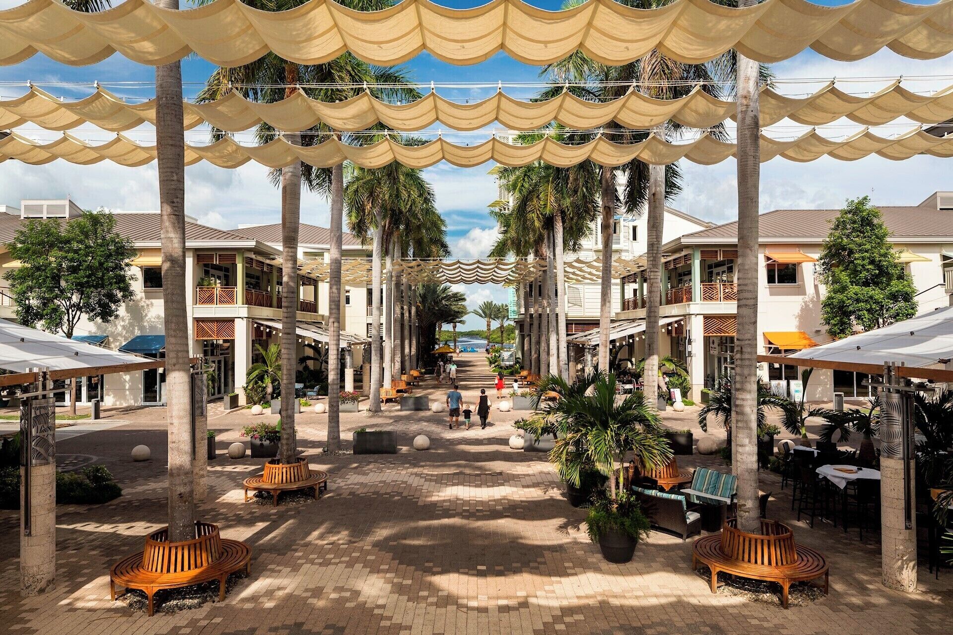 A courtyard with palm trees, wooden benches, and outdoor seating areas.