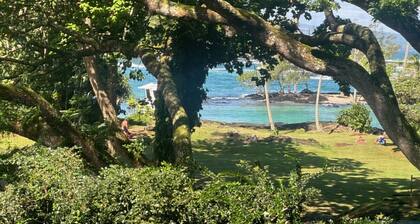 Oceanview Mauna Loa Shores Kai Ekahi #201 next to Carlsmith Beach Park