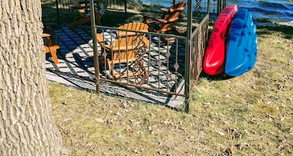 Fantastic Fishhook home w/PONTOON on premier sport & fishing lake! Pet Friendly!
