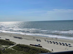 On the beach - BEACH COVE OCEAN FRONT ~ Watch Ocean Sunrise ~ 1B/1B (North Myrtle Beach)