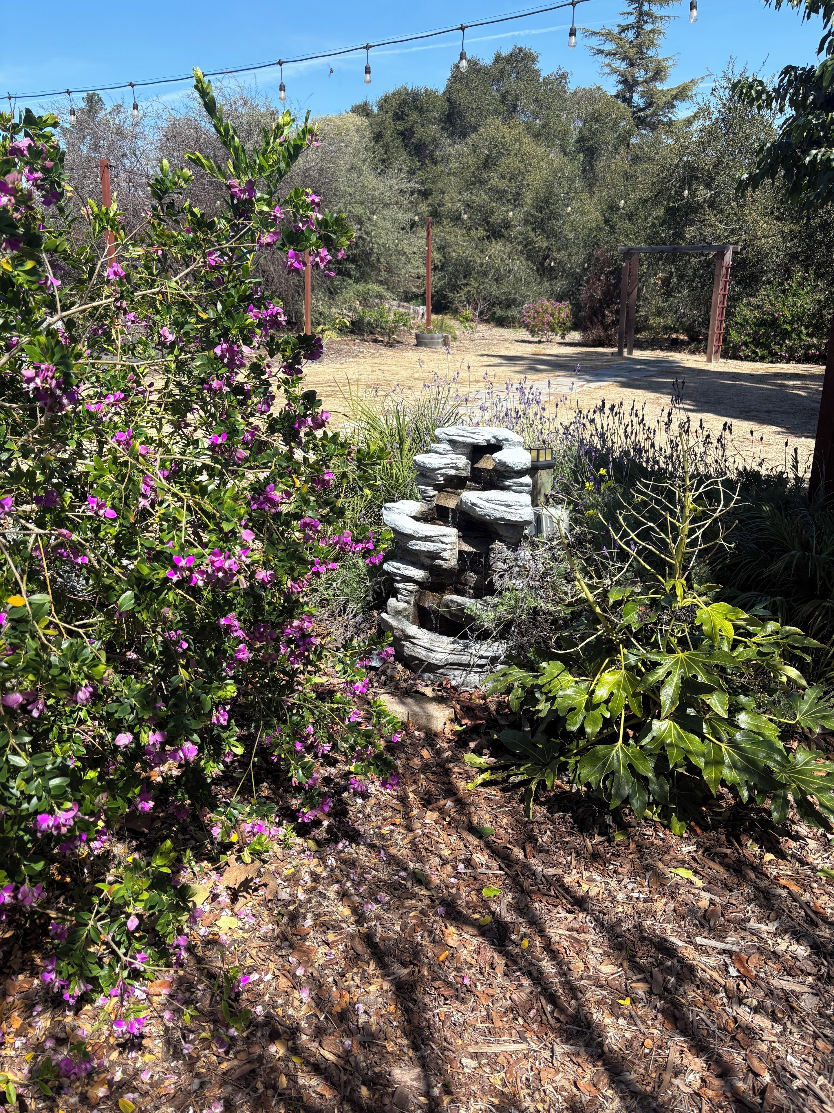 Enceinte de l’hébergement